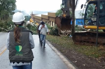 Assessoria Ambiental