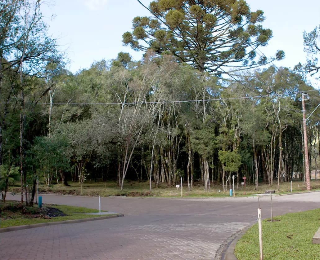 Residencial Pinheiro Grosso projeto.