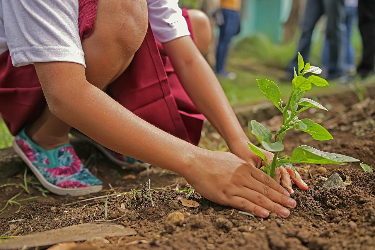 Indicação de um projeto social para colaboração espontânea e voluntária.