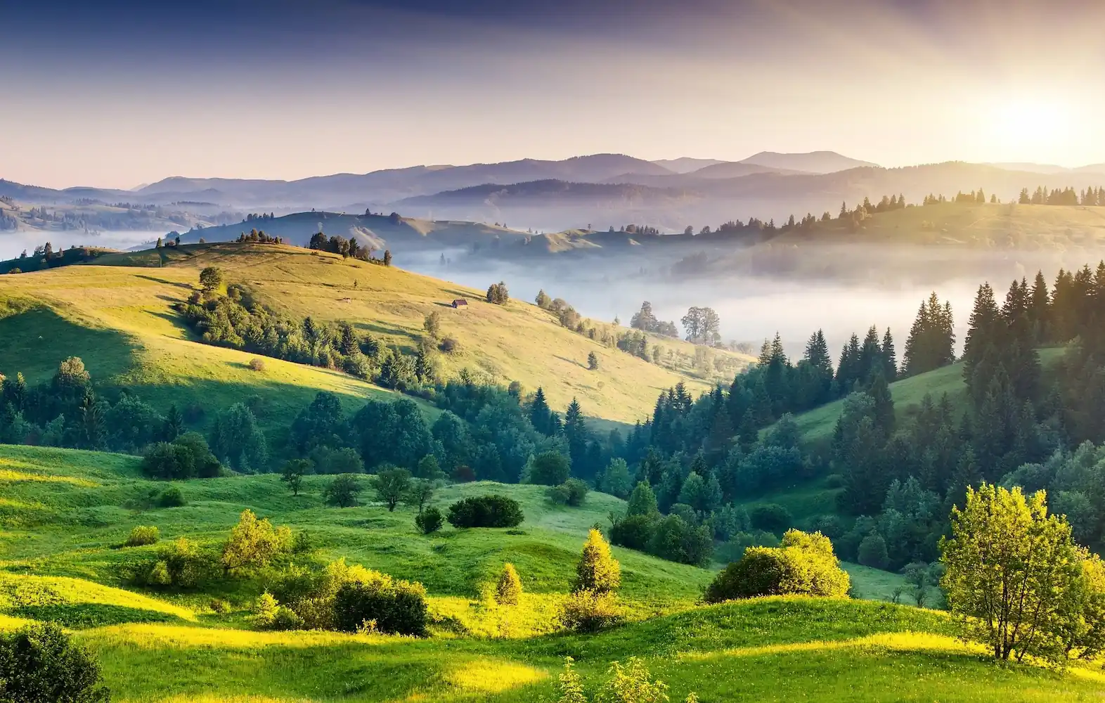 Paisagem 2
